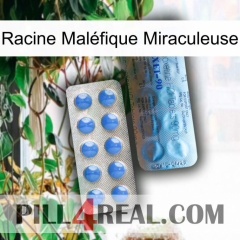 Racine Maléfique Miraculeuse 40